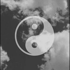 Meet your Posher, Maddie